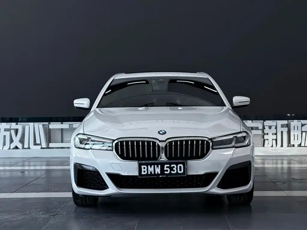 BMW 5 Series — фото 7