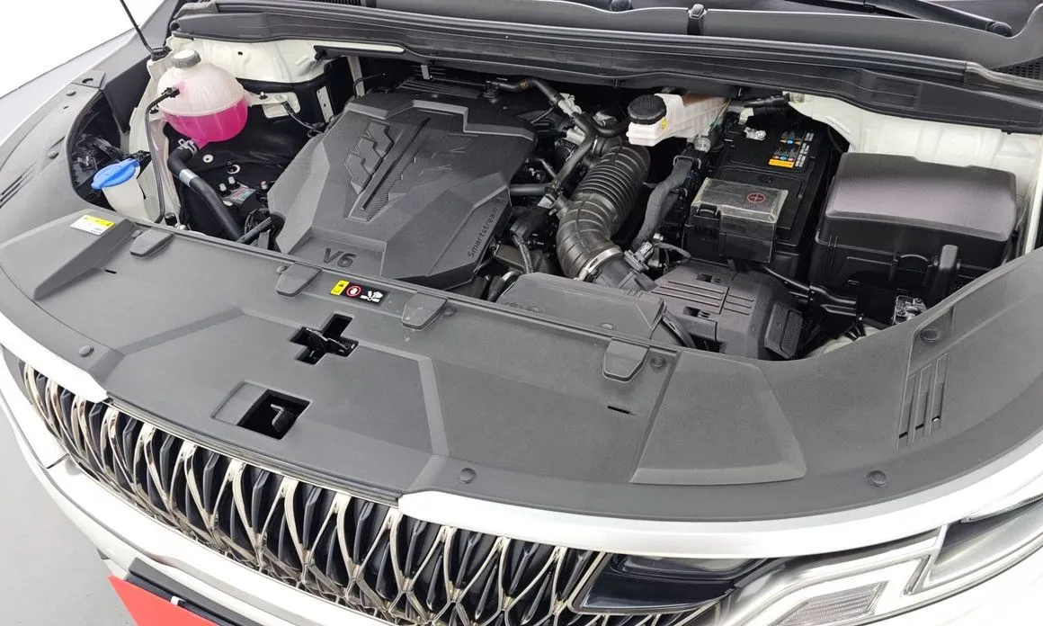 Kia Carnival — фото 10