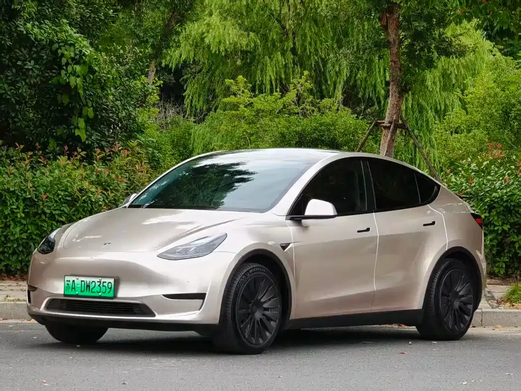 Tesla Model Y — фото 1