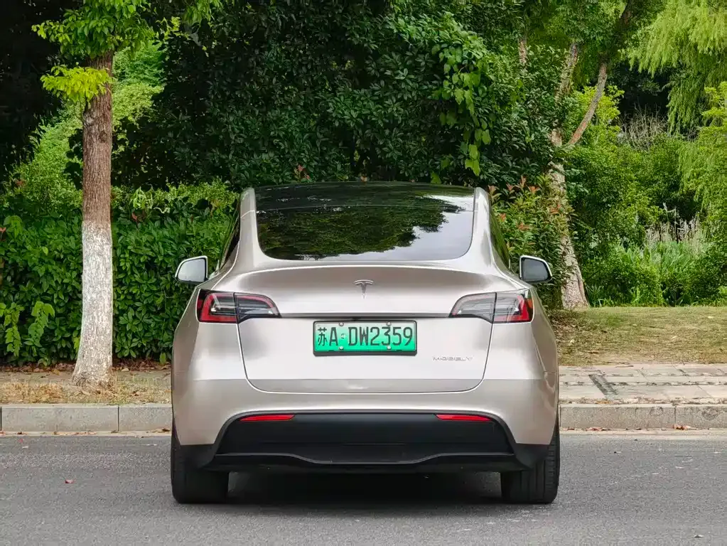 Tesla Model Y — фото 7
