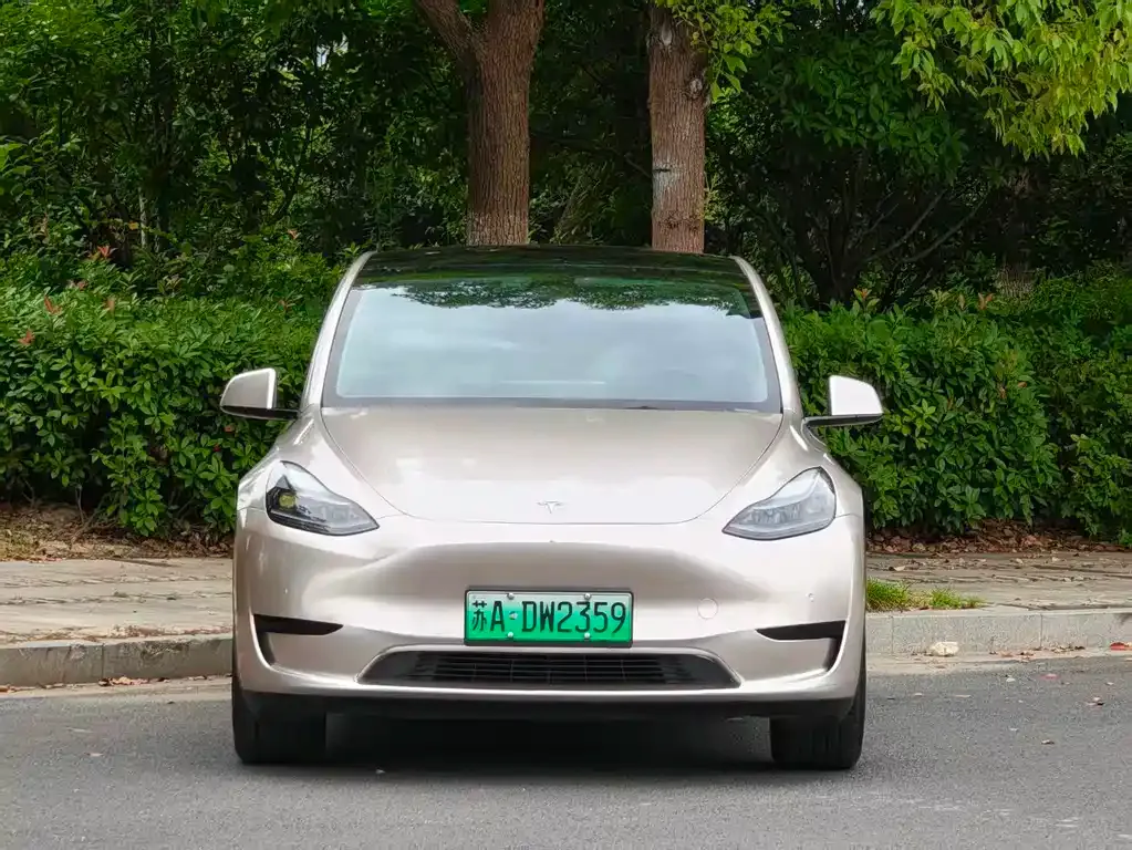 Tesla Model Y — фото 10