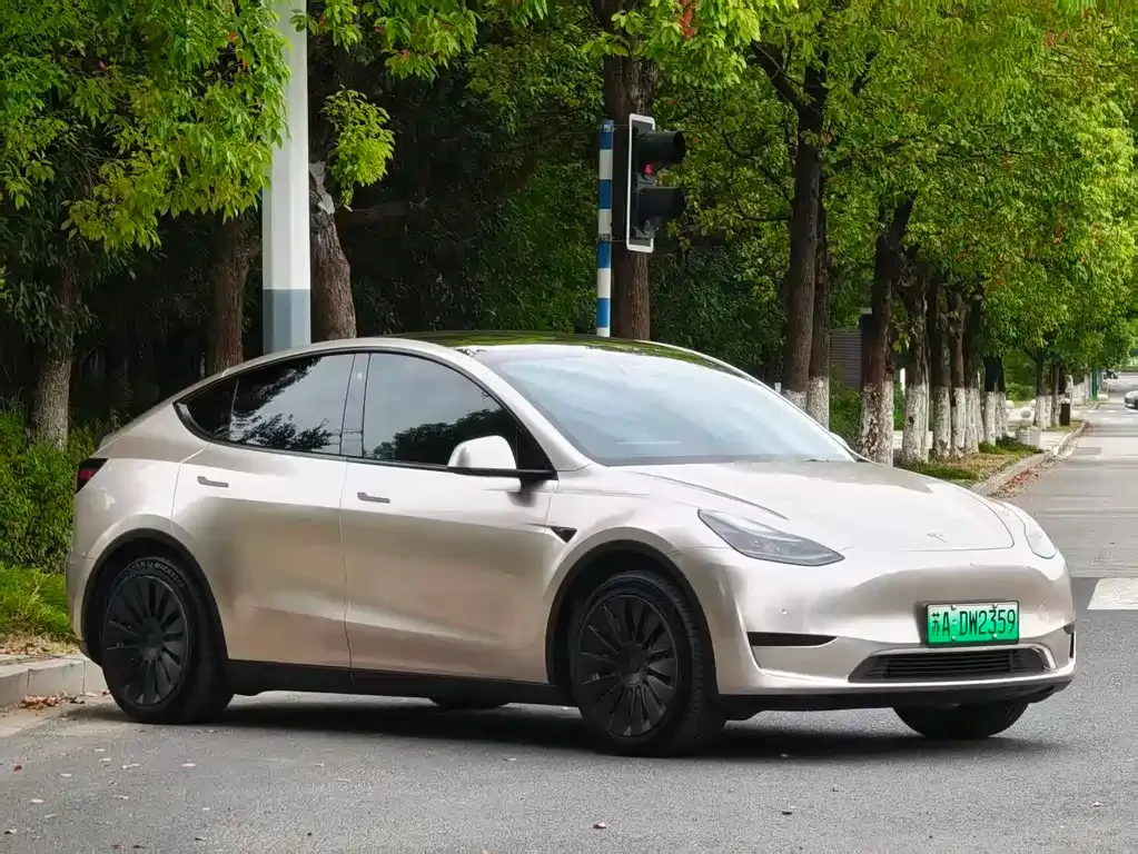 Tesla Model Y — фото 5