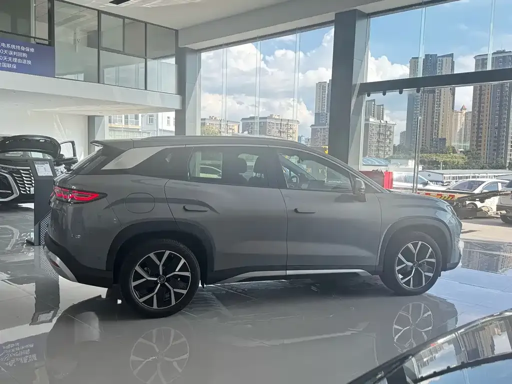 BYD L DM-i — фото 4