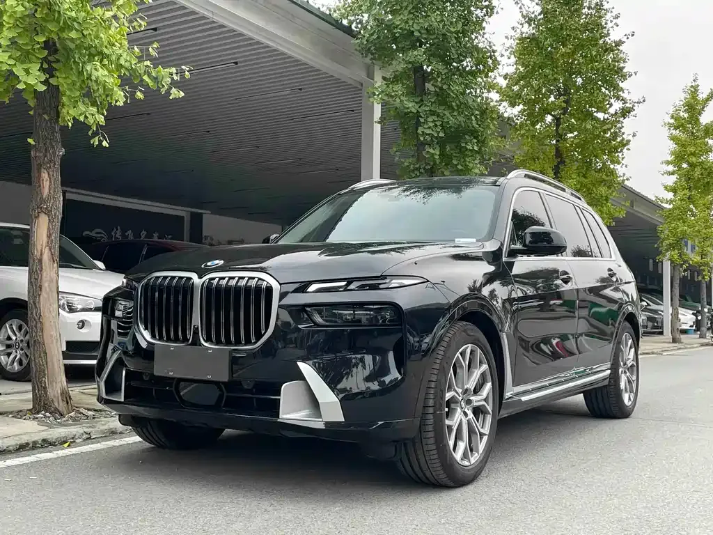 BMW X7 — фото 1