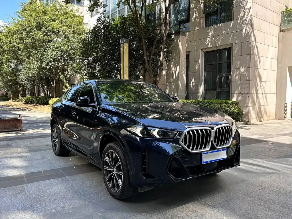 BMW X6 — фото 9
