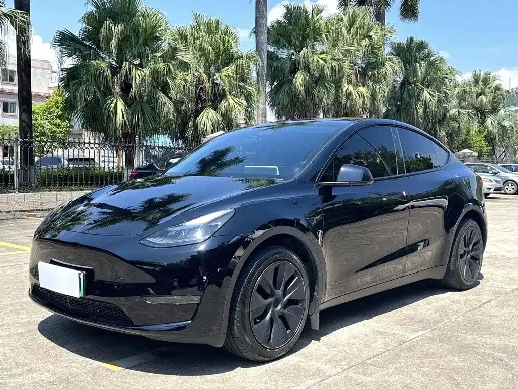 Tesla Model Y — фото 1