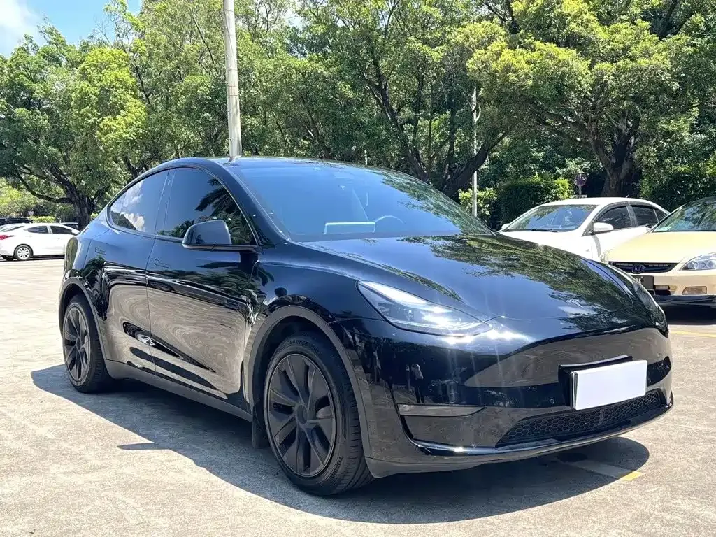 Tesla Model Y — фото 7