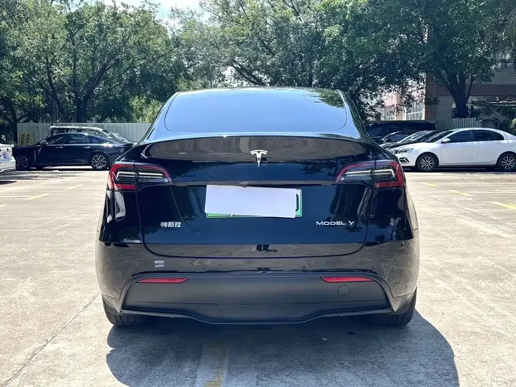 Tesla Model Y — фото 5