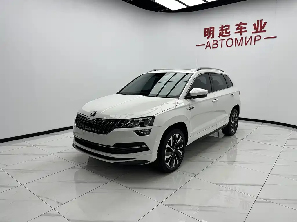 Skoda Karoq — фото 5