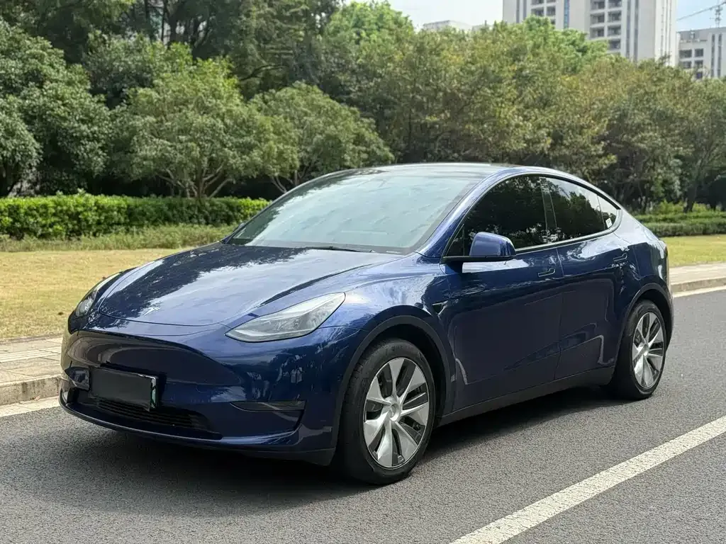 Tesla Model Y — фото 1