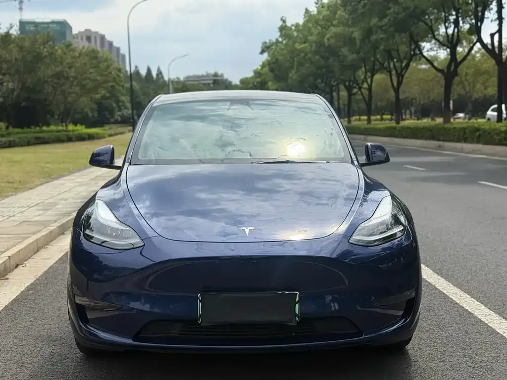 Tesla Model Y — фото 8