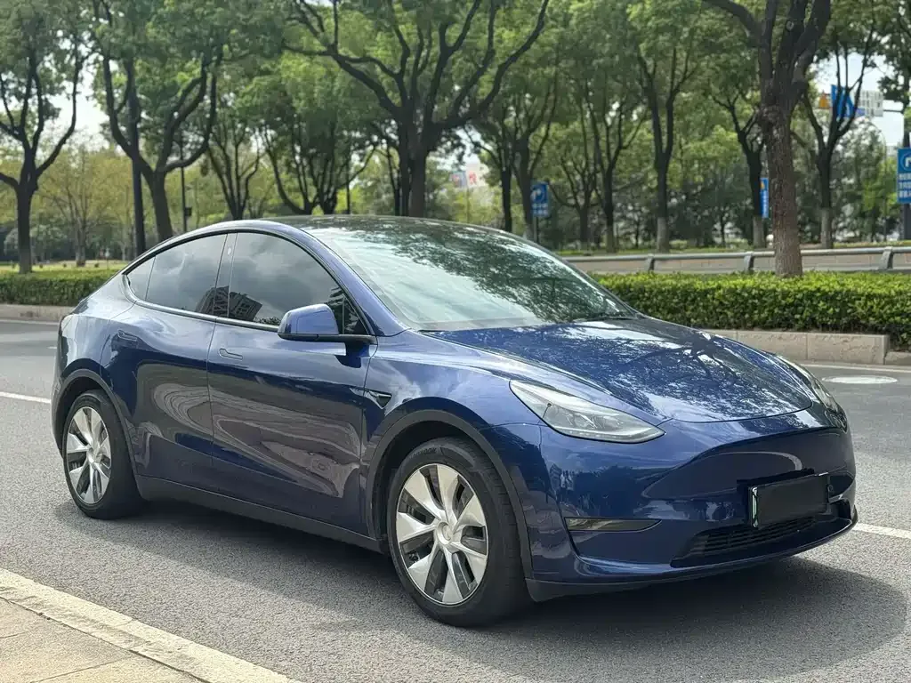 Tesla Model Y — фото 6