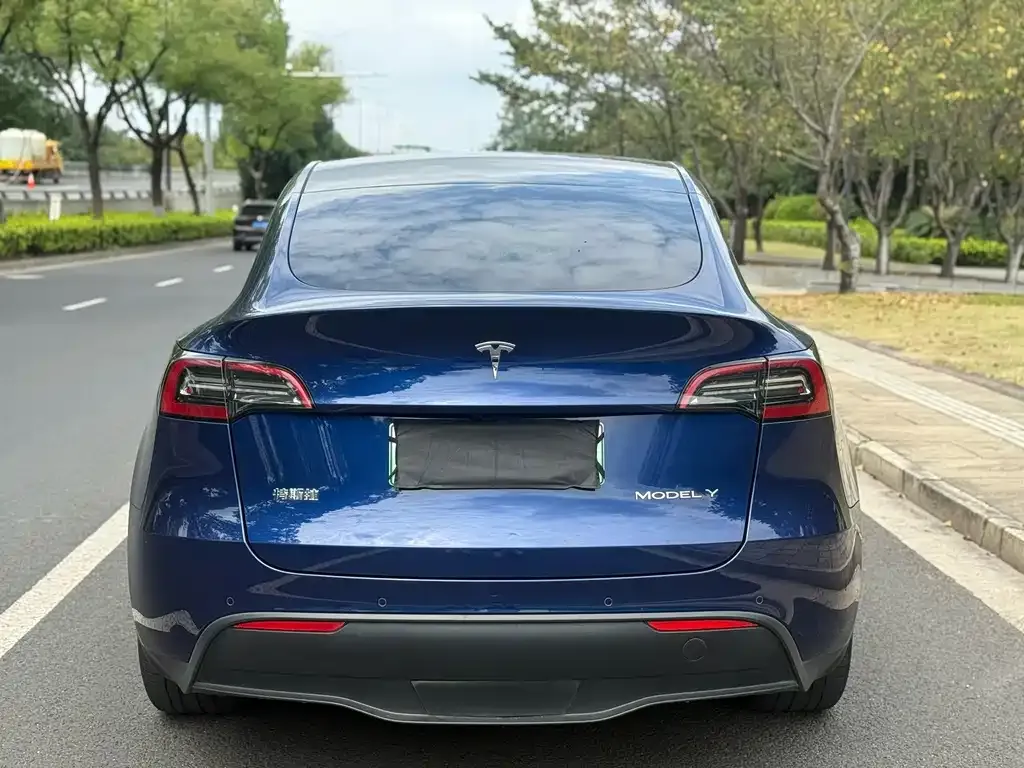 Tesla Model Y — фото 4
