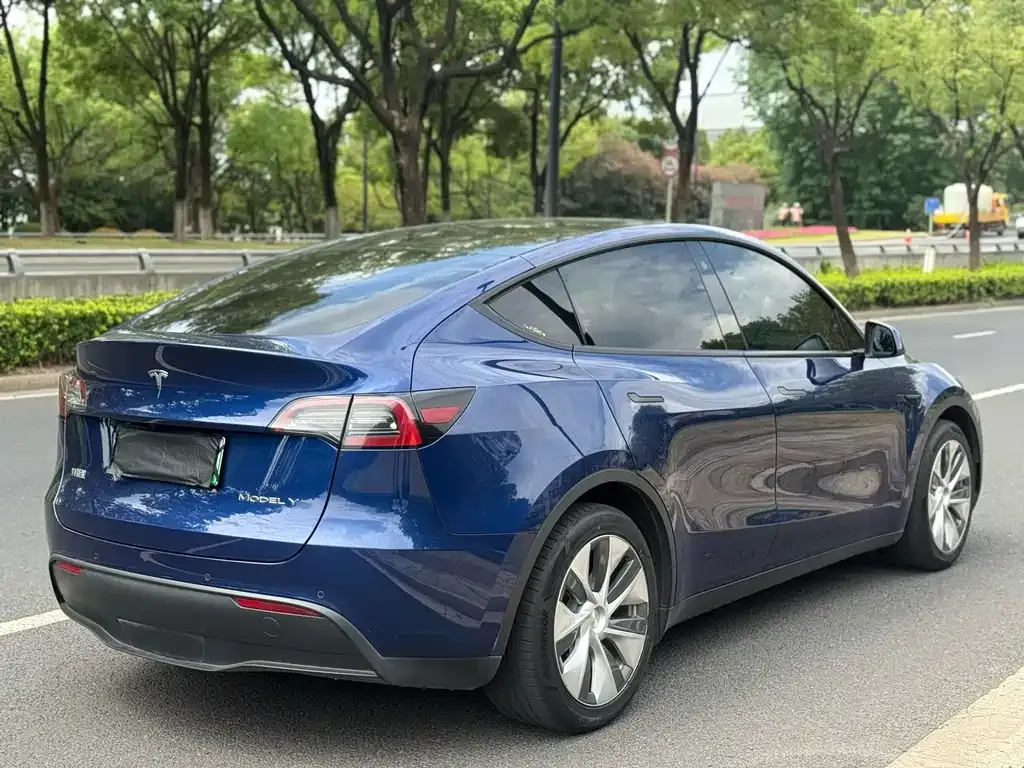Tesla Model Y — фото 5