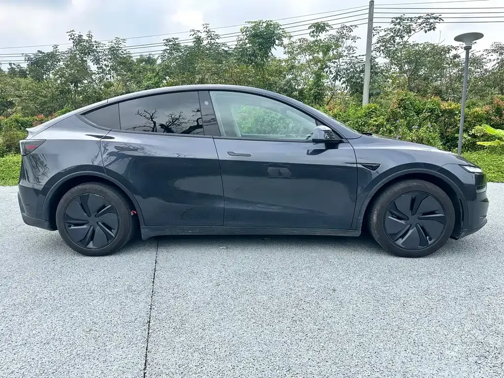 Tesla Model Y — фото 10