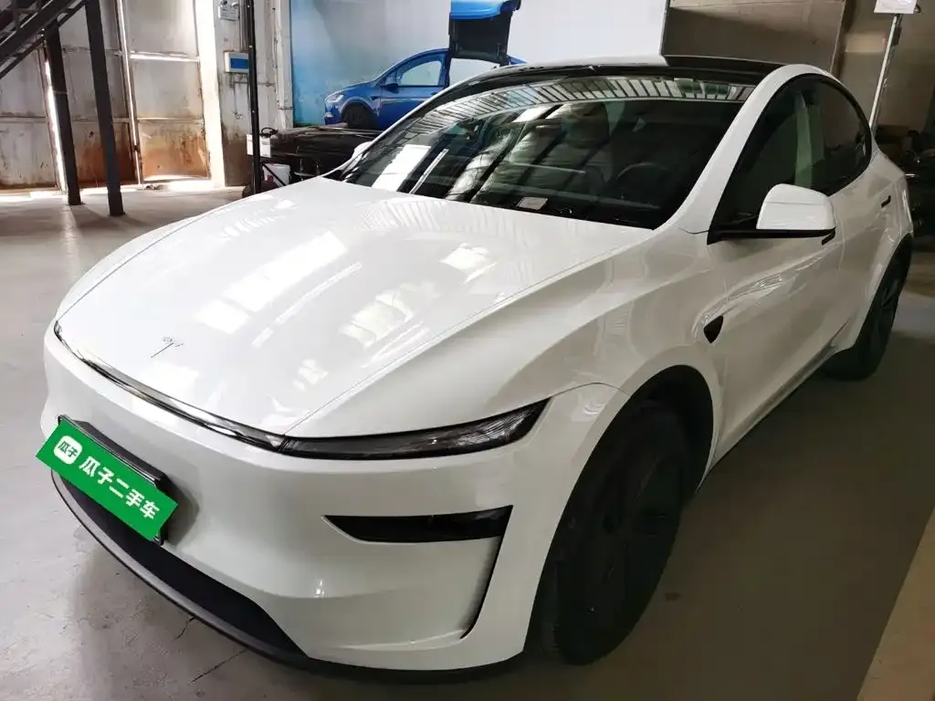 Tesla Model Y — фото 10