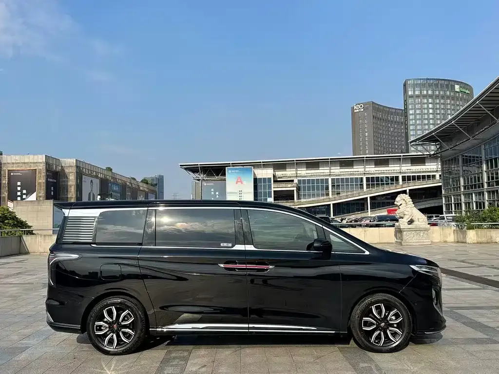 Hongqi HQ9 — фото 4