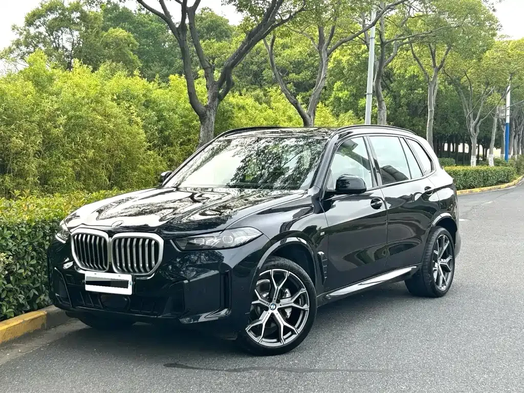 BMW X5 — фото 8