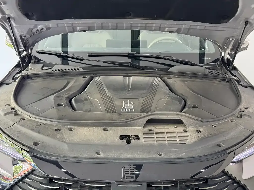 BYD Tang New Energy — фото 10