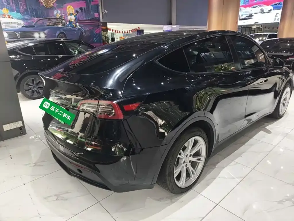 Tesla Model Y — фото 9