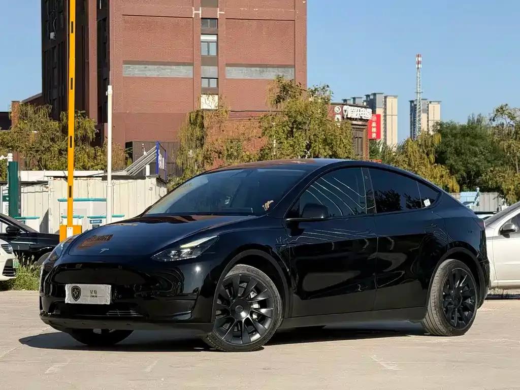 Tesla Model Y — фото 1