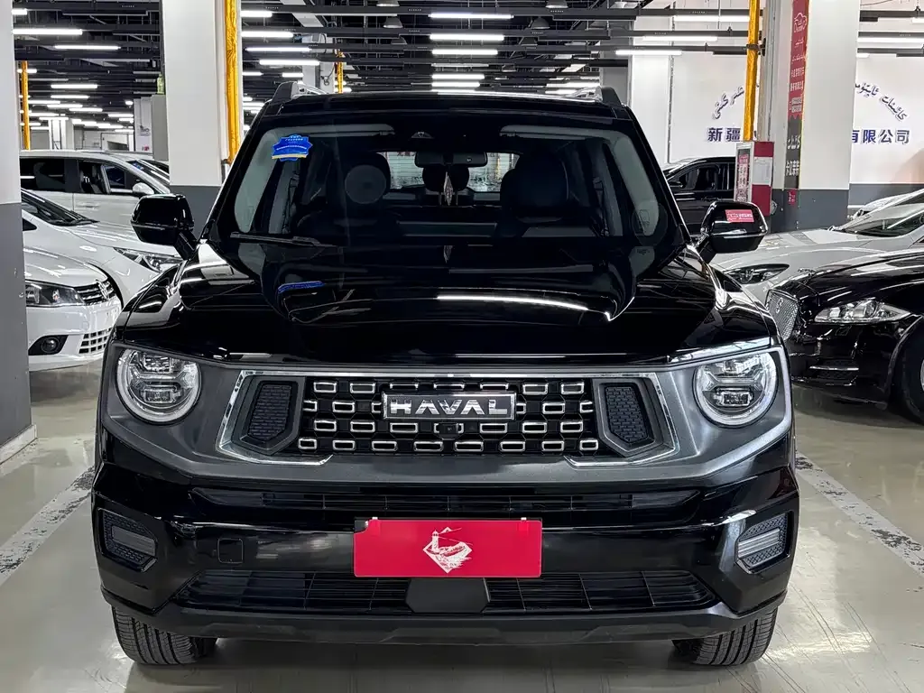 Haval Big Dog PLUS — фото 7