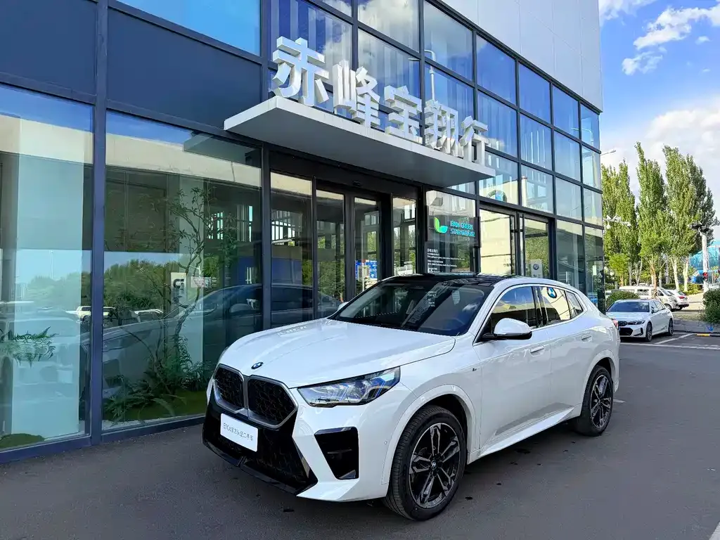 BMW X2 (Import) — фото 1
