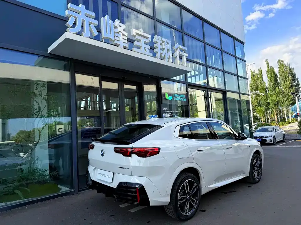 BMW X2 (Import) — фото 5
