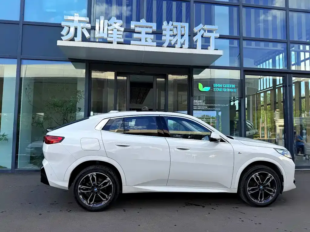 BMW X2 (Import) — фото 10