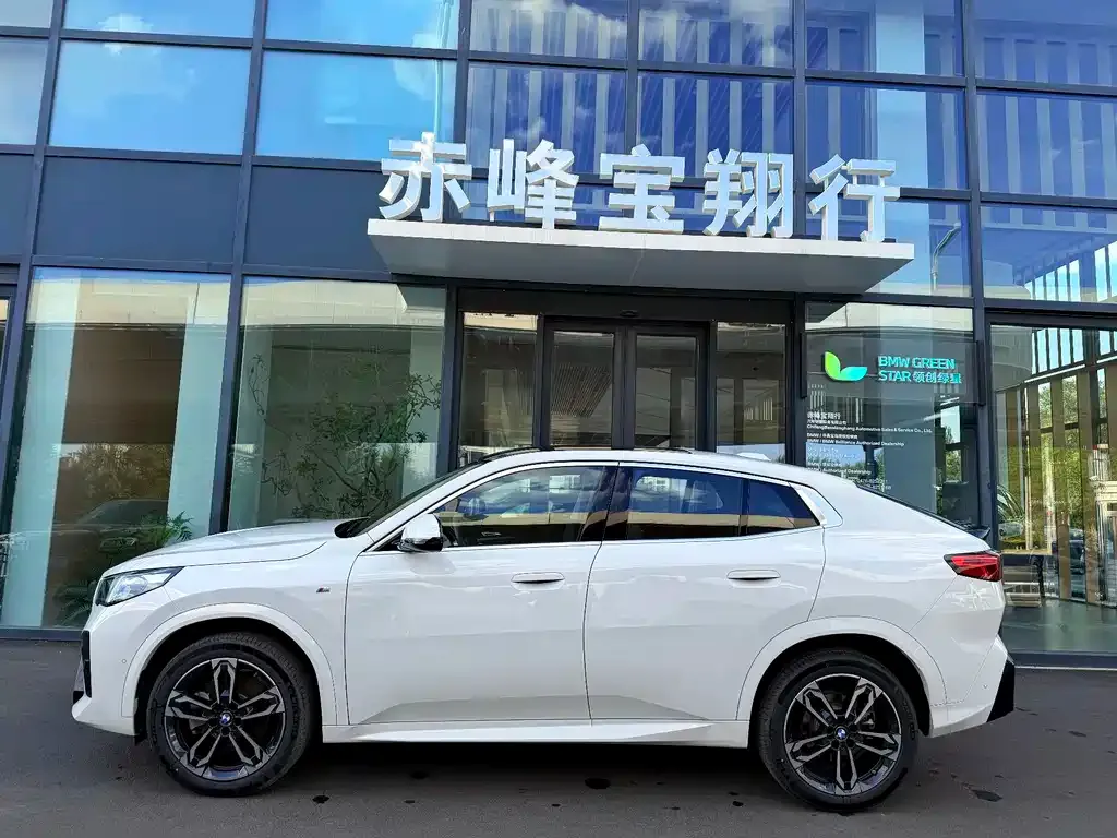 BMW X2 (Import) — фото 4