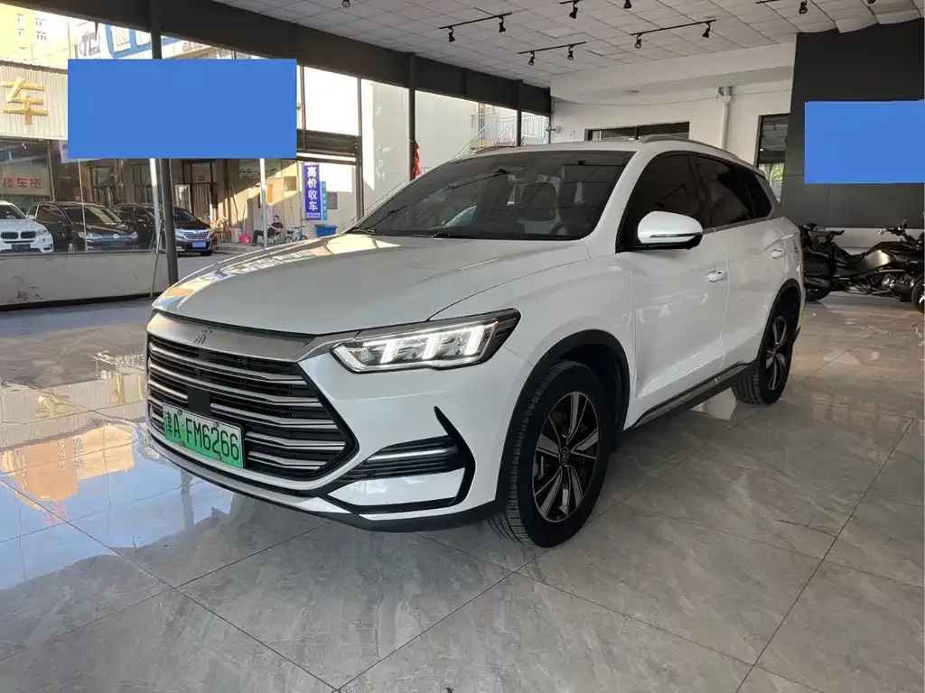 BYD Pro New Energy — фото 1