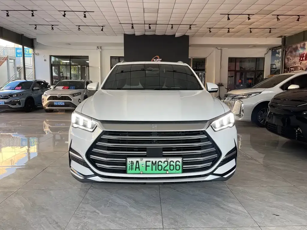 BYD Pro New Energy — фото 9