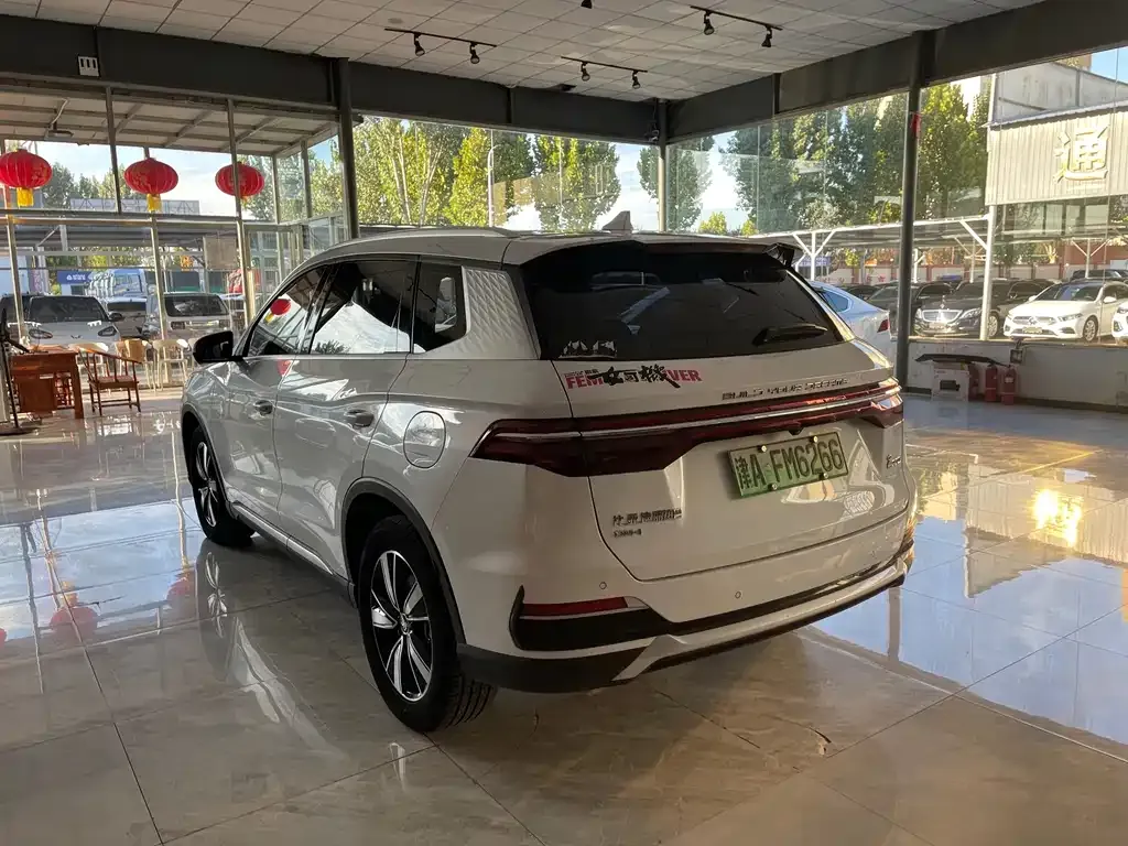 BYD Pro New Energy — фото 4