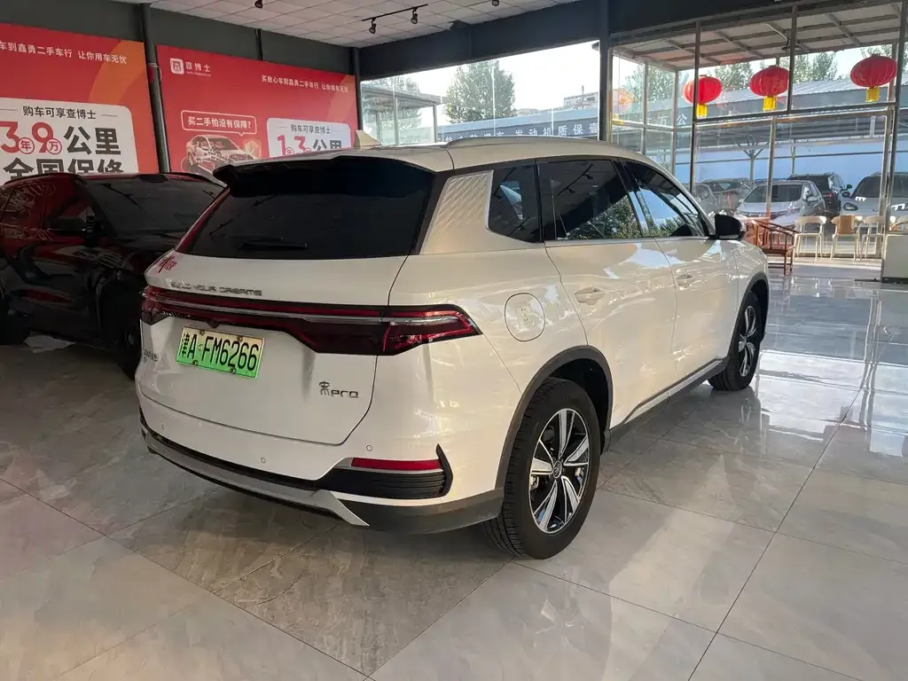 BYD Pro New Energy — фото 2