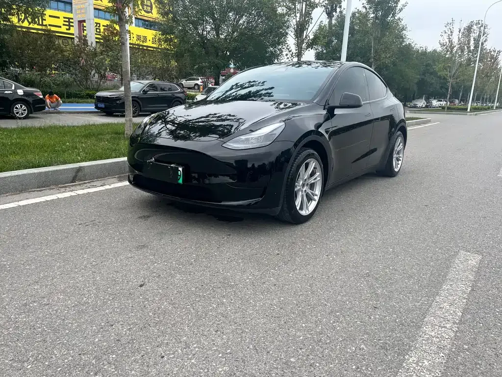 Tesla Model Y — фото 1