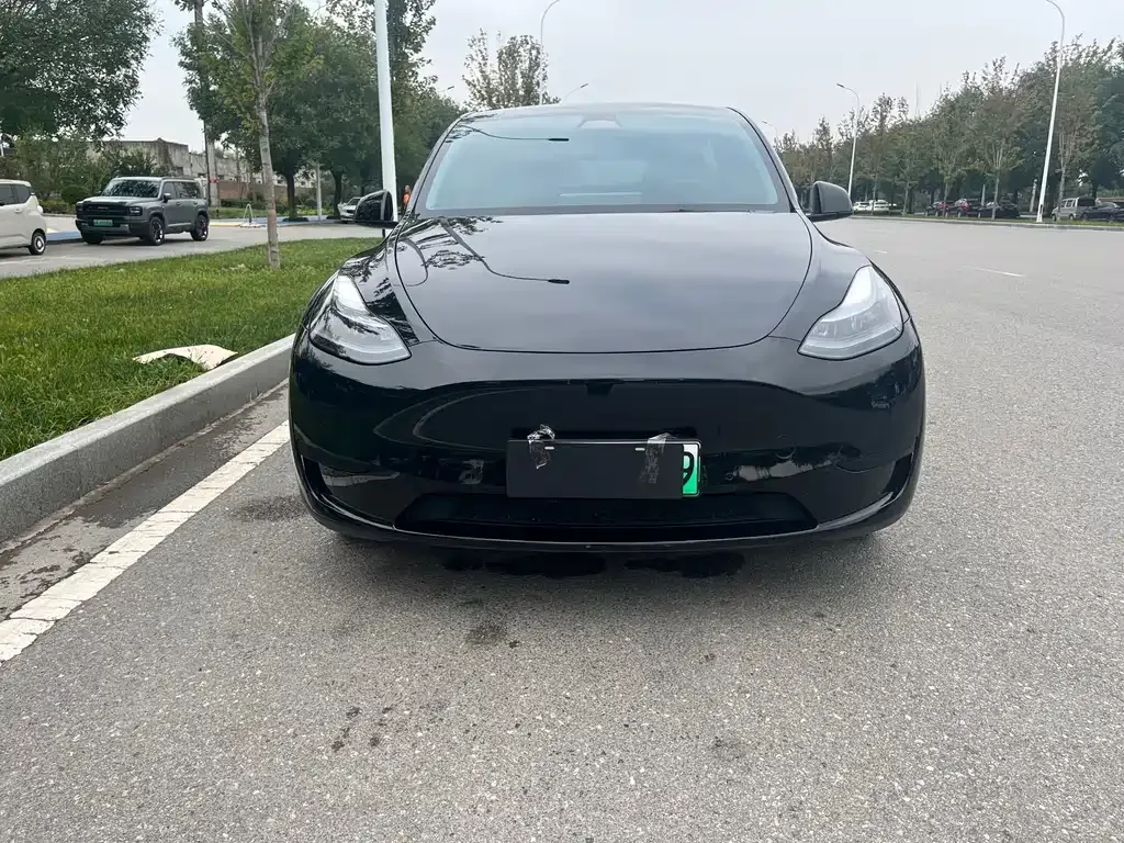 Tesla Model Y — фото 8