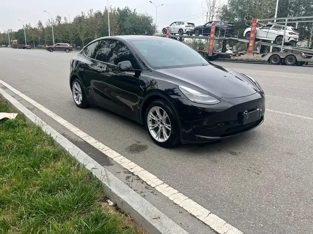 Tesla Model Y — фото 10