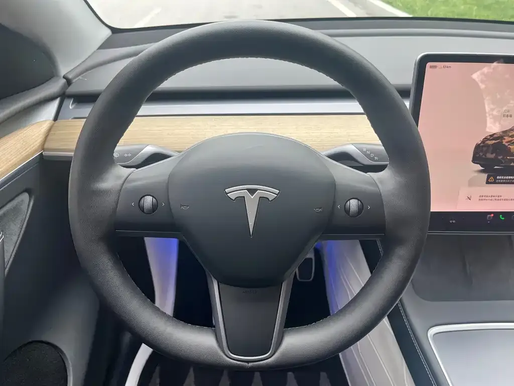 Tesla Model Y — фото 2