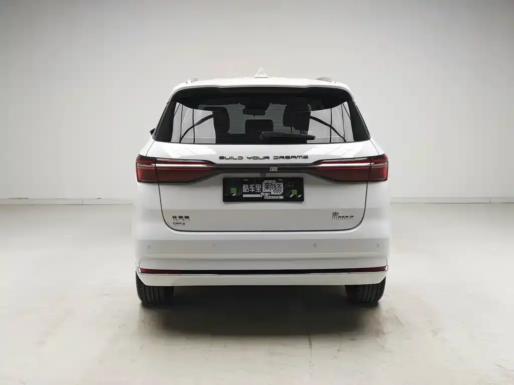 BYD MAX New Energy — фото 10