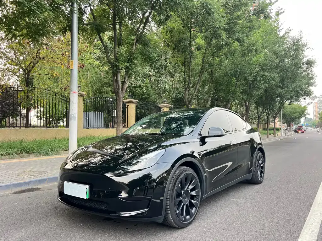 Tesla Model Y — фото 1