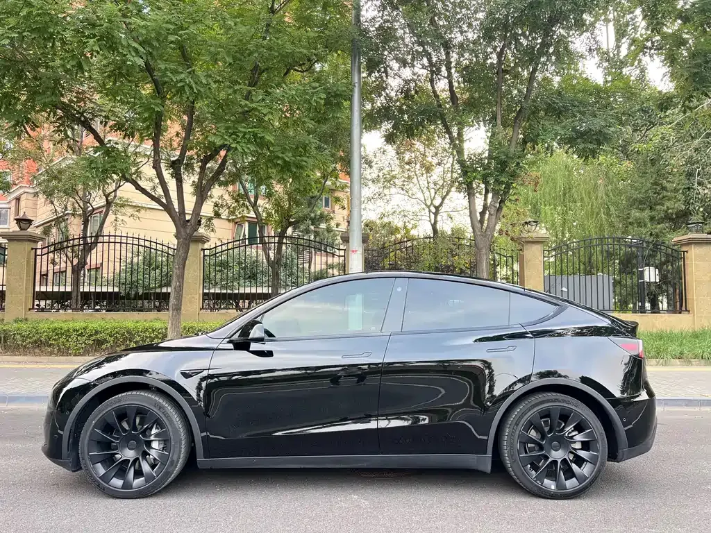 Tesla Model Y — фото 9