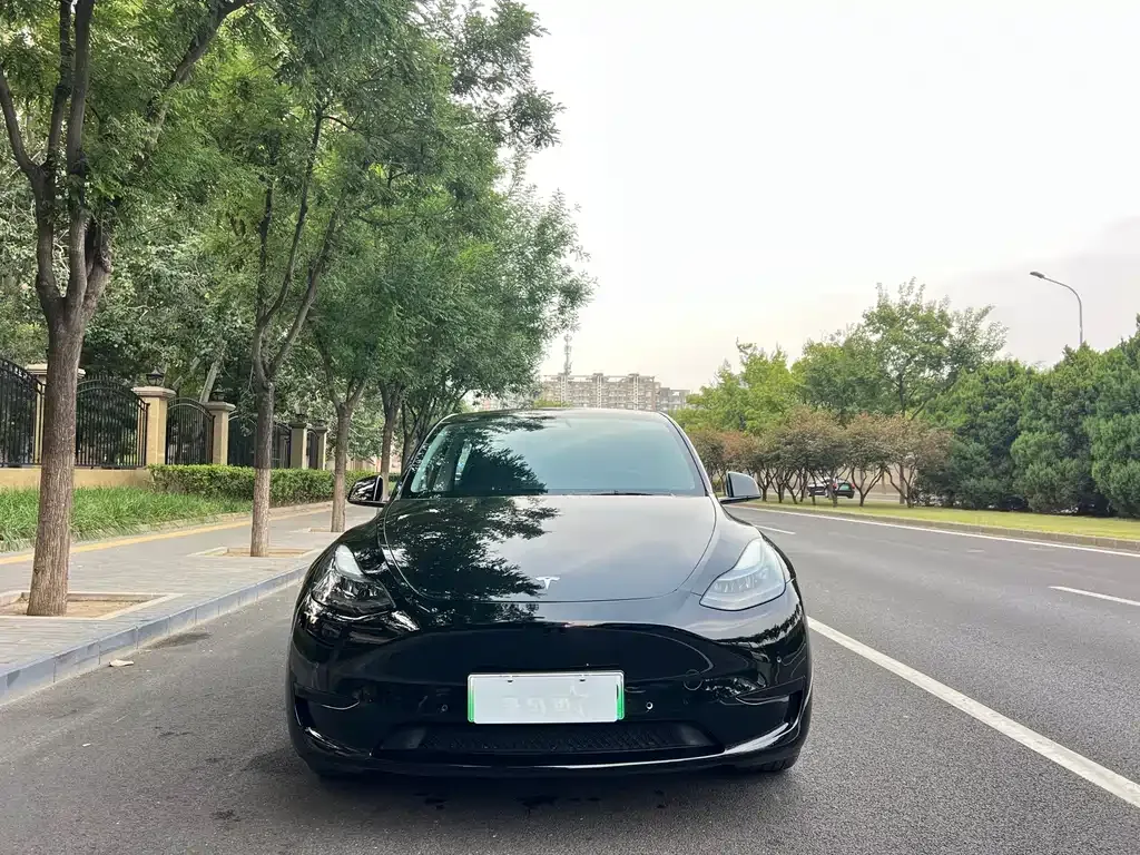 Tesla Model Y — фото 8