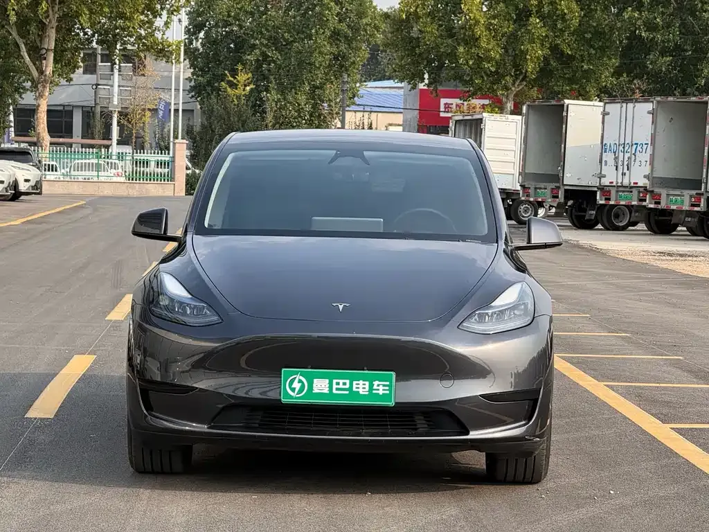 Tesla Model Y — фото 6