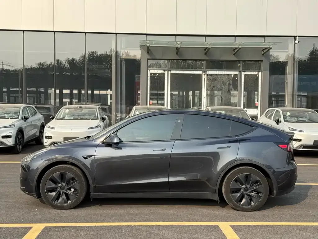 Tesla Model Y — фото 8