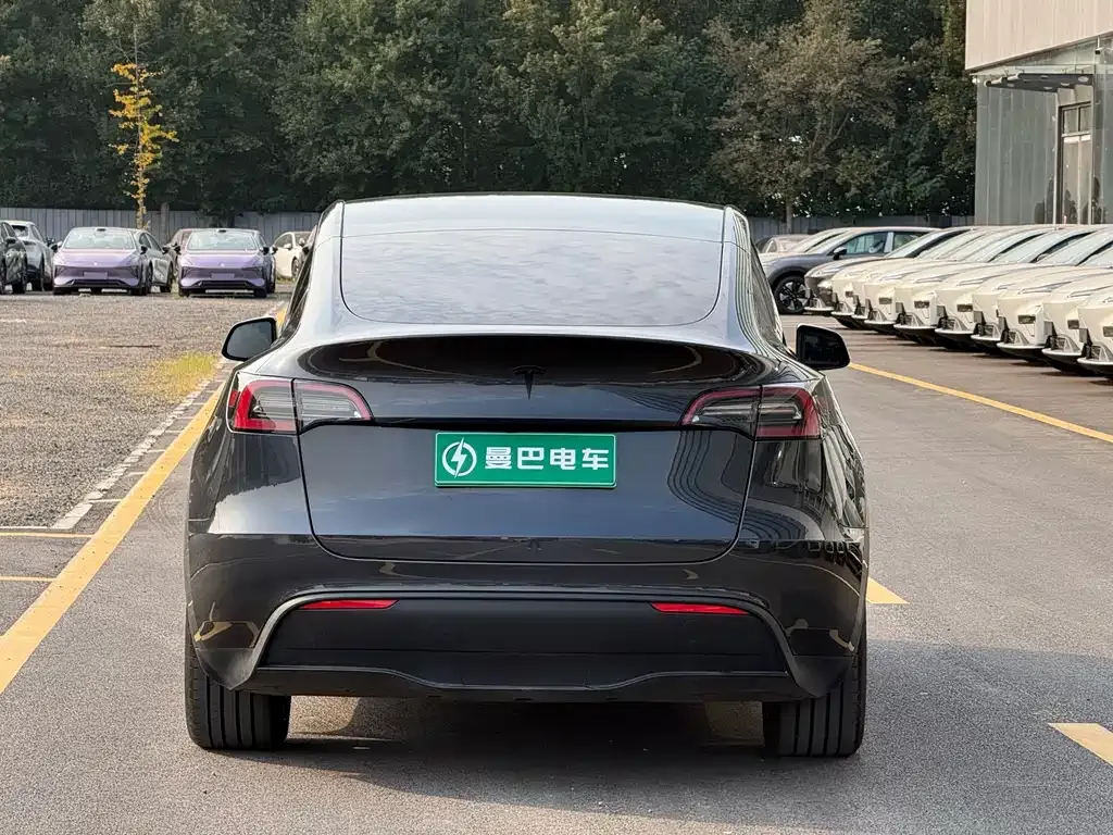 Tesla Model Y — фото 2