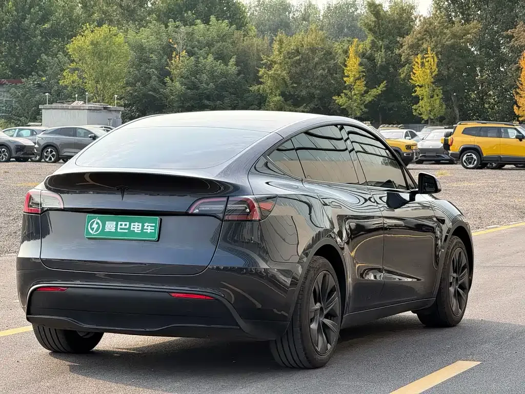 Tesla Model Y — фото 7