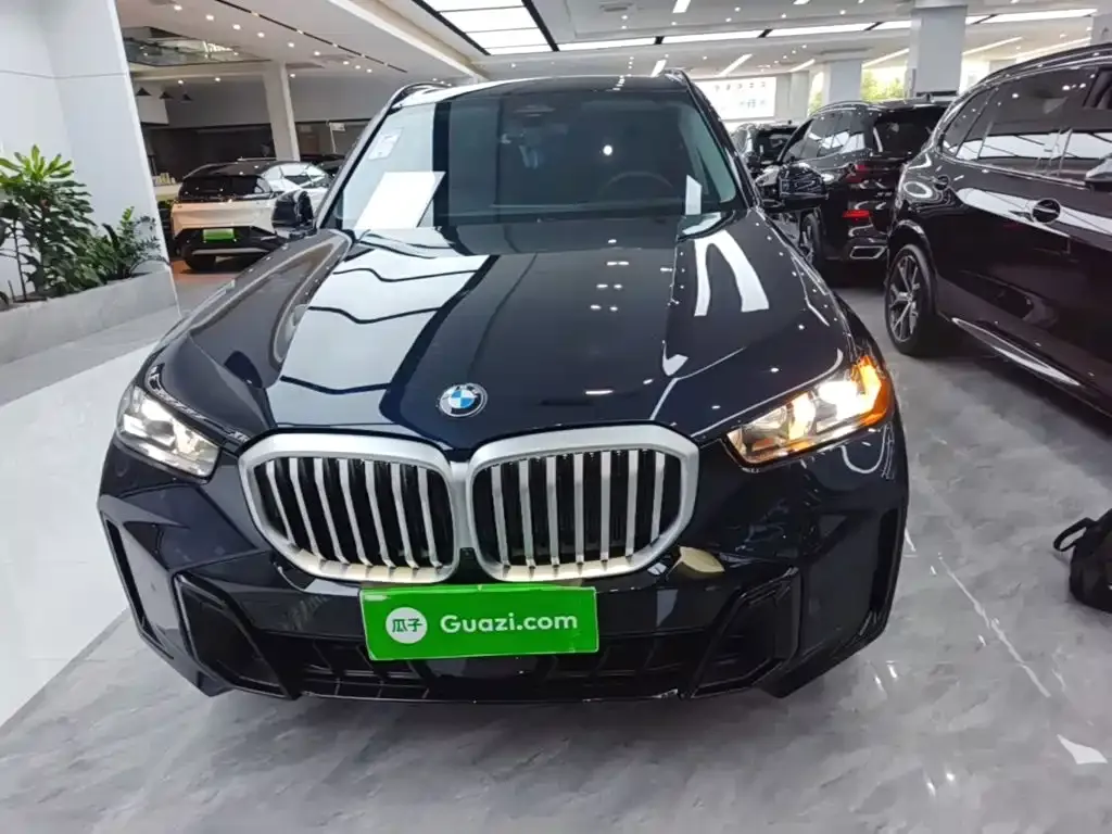 BMW X5 — фото 10