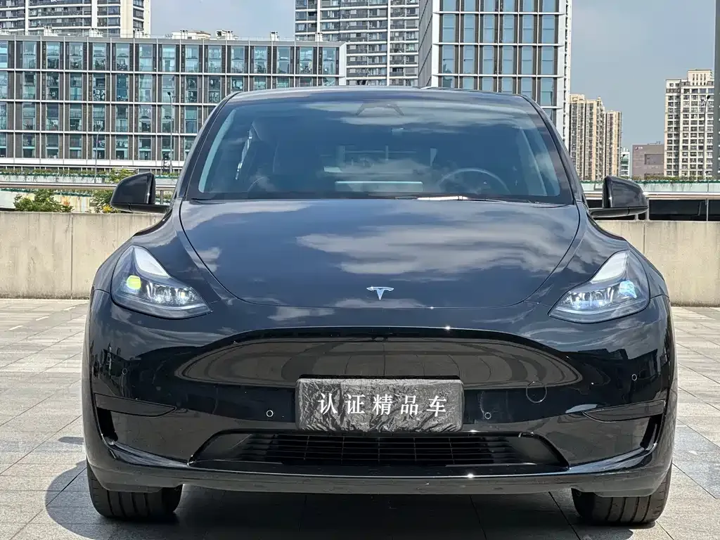 Tesla Model Y — фото 2