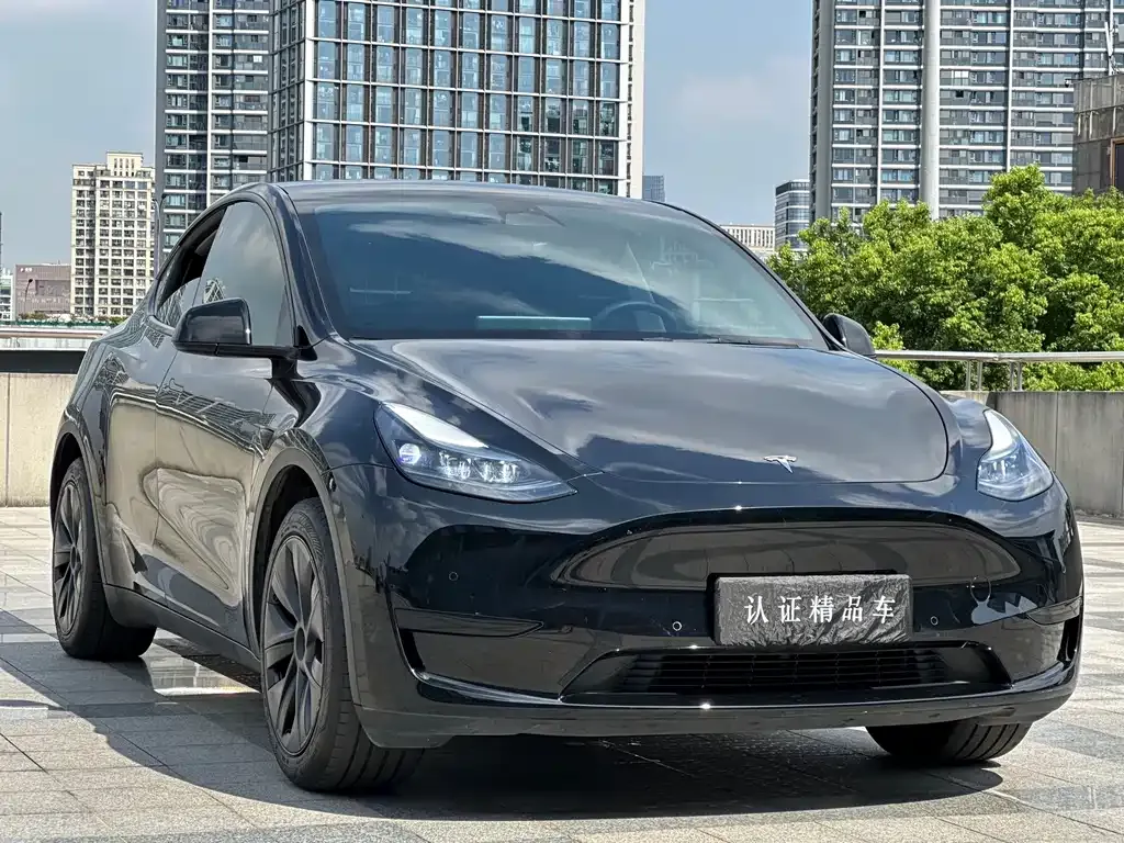Tesla Model Y — фото 5