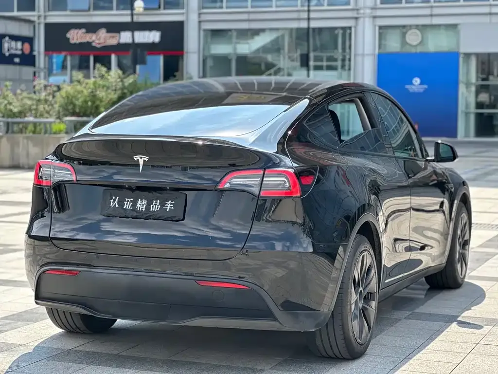 Tesla Model Y — фото 10